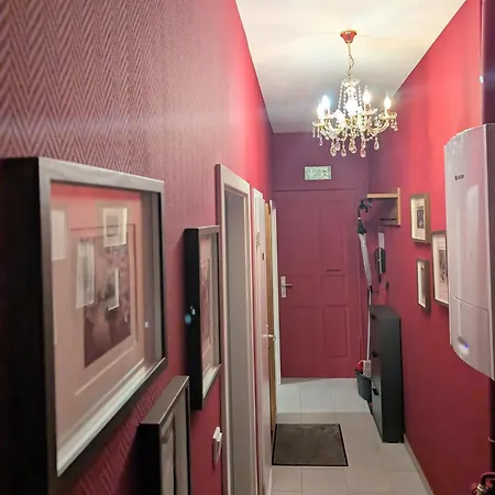 בית הארחה Albert Rooms 3*